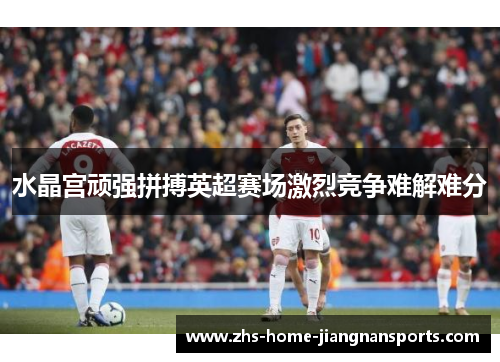 水晶宫顽强拼搏英超赛场激烈竞争难解难分